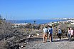 El Ayuntamiento y Foresta trabajan en la restauración ambiental de Morro Besudo