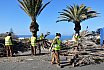 El Ayuntamiento y Foresta trabajan en la restauración ambiental de Morro Besudo