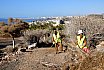 El Ayuntamiento y Foresta trabajan en la restauración ambiental de Morro Besudo