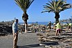 El Ayuntamiento y Foresta trabajan en la restauración ambiental de Morro Besudo