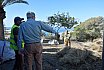 El Ayuntamiento y Foresta trabajan en la restauración ambiental de Morro Besudo
