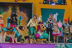 Carnanval Canino de Maspalomas 20023