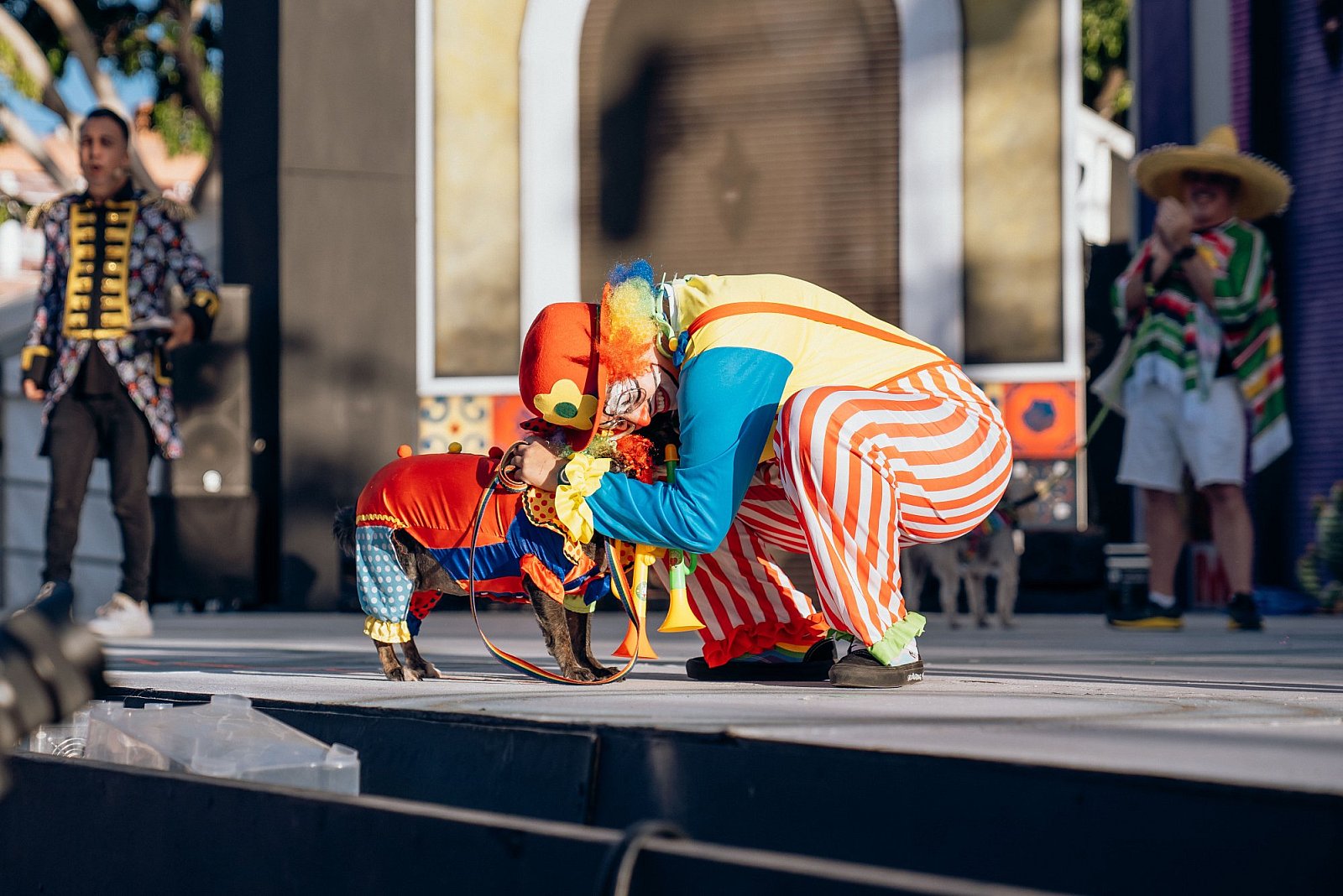 La perrita “Niña” vuelve a ganar el Carnaval Canino de Maspalomas ¡y se “jubila” con 9 años!
