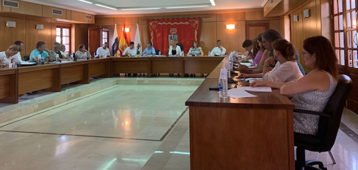 Pleno ExtraOrdinario 01/07/2019