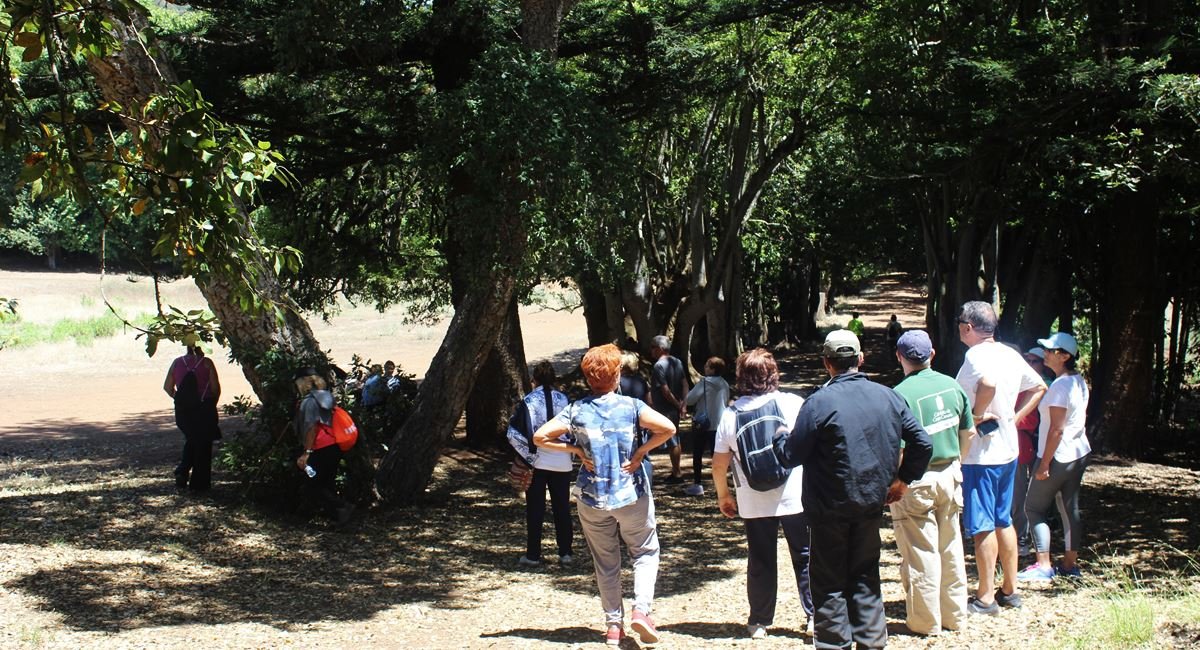 Convivencia y Ejercicios en Osorio