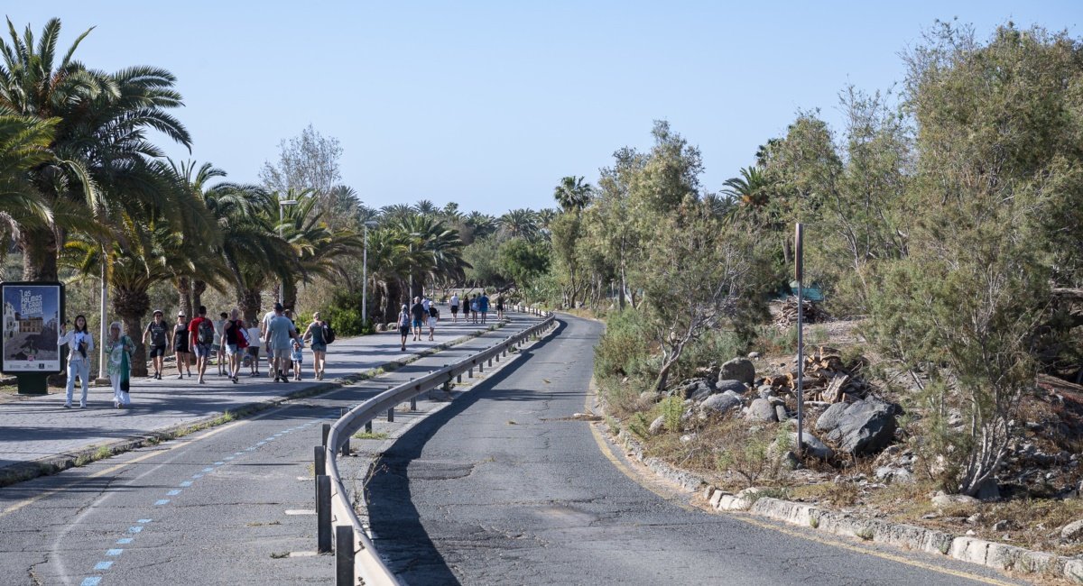  El Consorcio transformará el Palmeral Oasis Maspalomas 2023