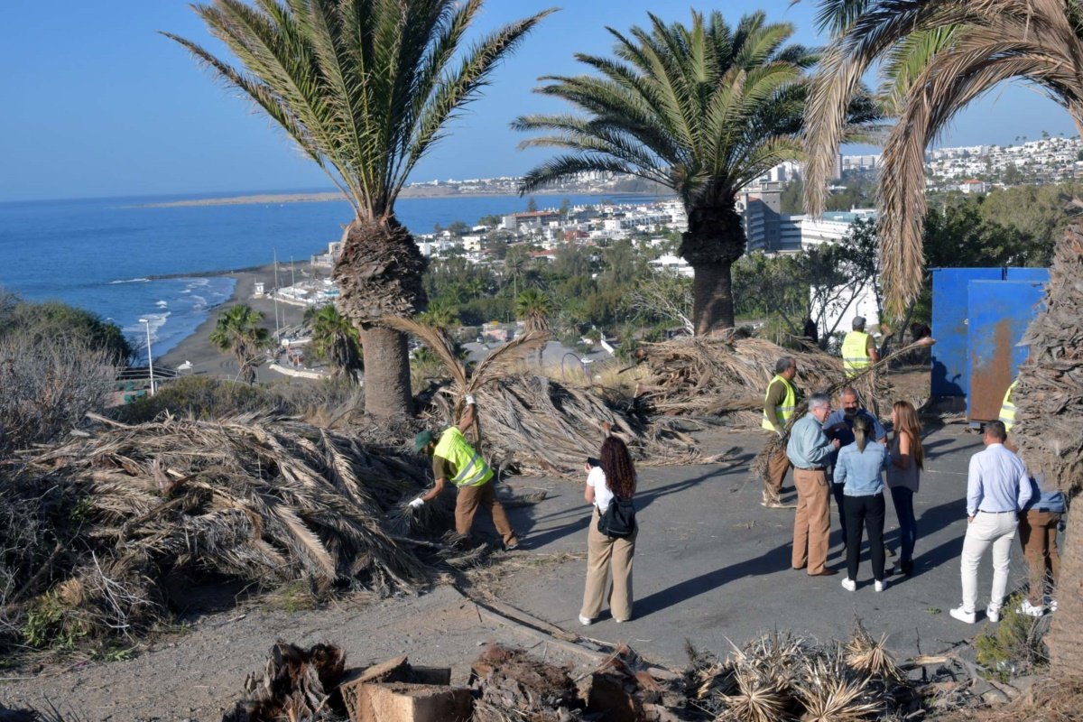 El Ayuntamiento y Foresta trabajan en la restauración ambiental de Morro Besudo