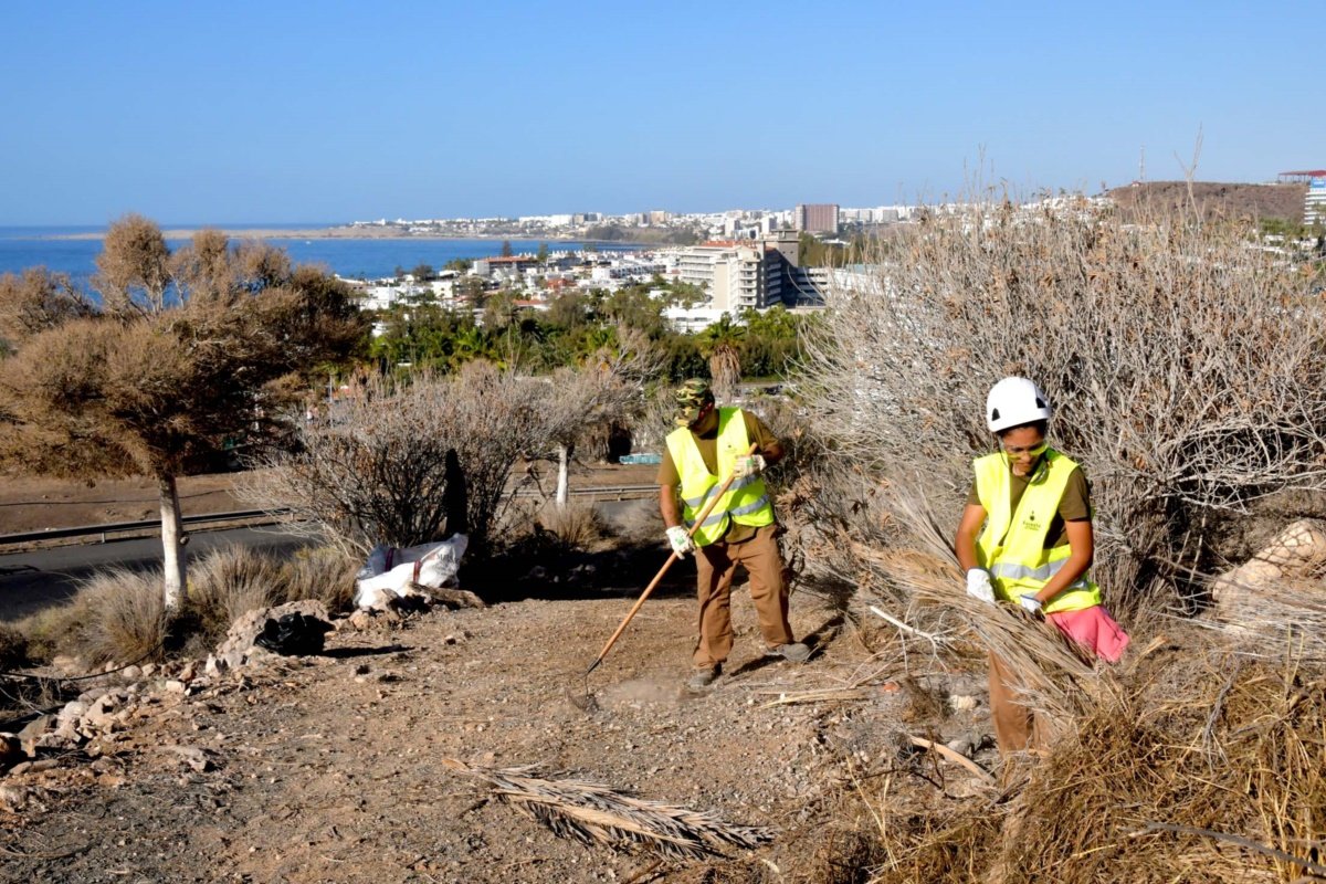 El Ayuntamiento y Foresta trabajan en la restauración ambiental de Morro Besudo