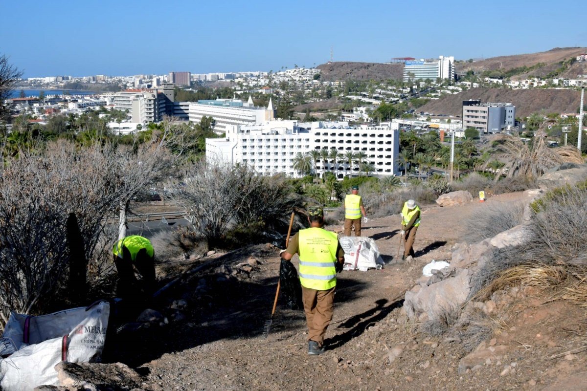 El Ayuntamiento y Foresta trabajan en la restauración ambiental de Morro Besudo