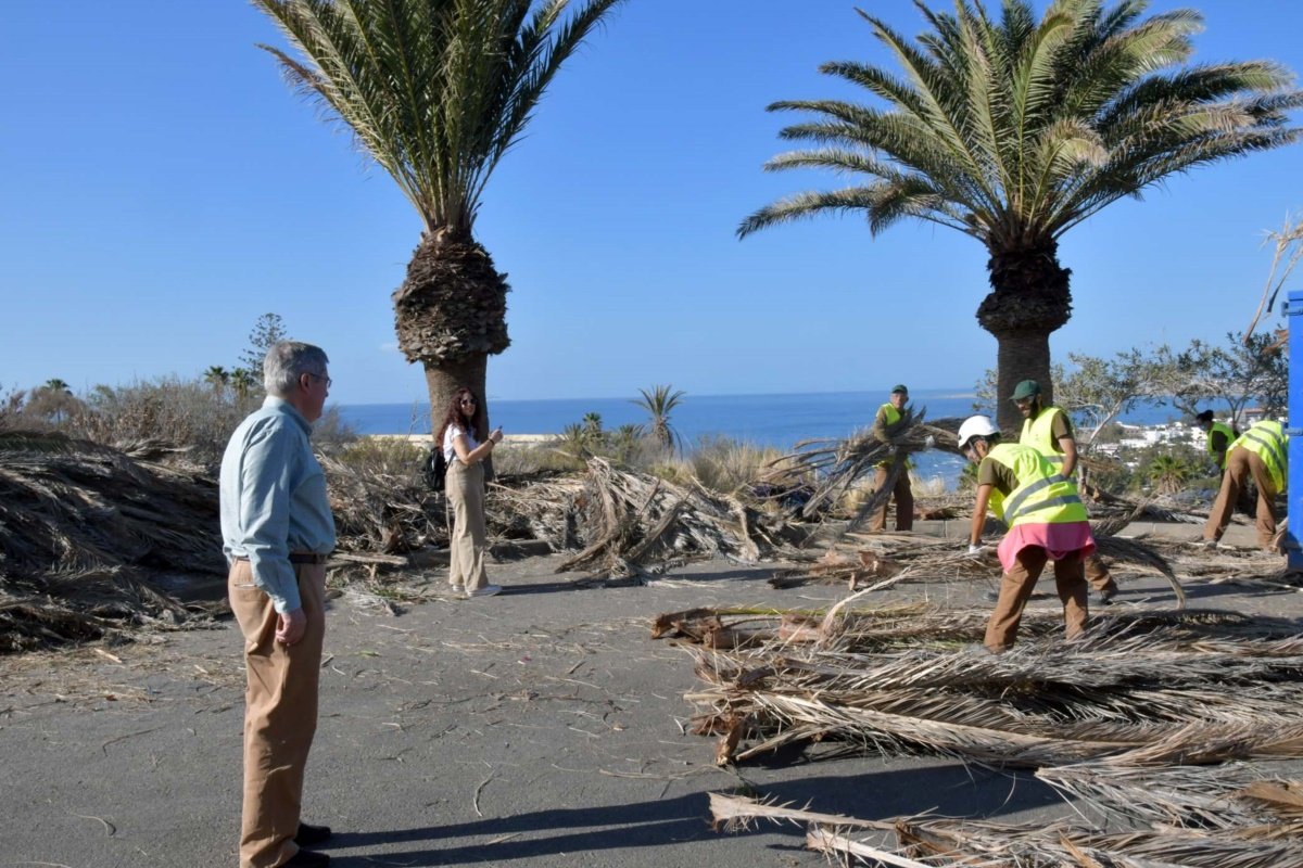El Ayuntamiento y Foresta trabajan en la restauración ambiental de Morro Besudo