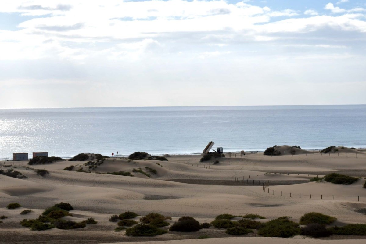 La Concejalía de Limpieza traslada 78.000 kilos de arena desde el paseo a la orilla de Playa del Inglés