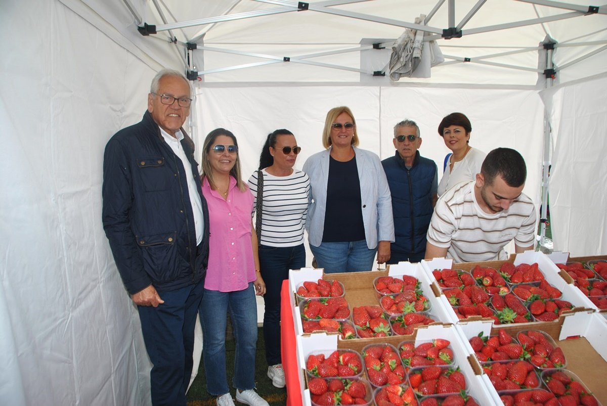 Feria KM0 2024