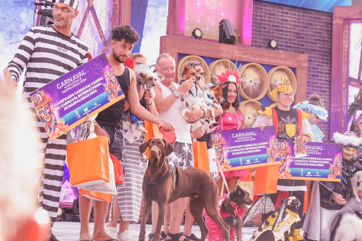 La simpática ‘Niña’ ganadora del Carnaval Canino de Maspalomas 2024