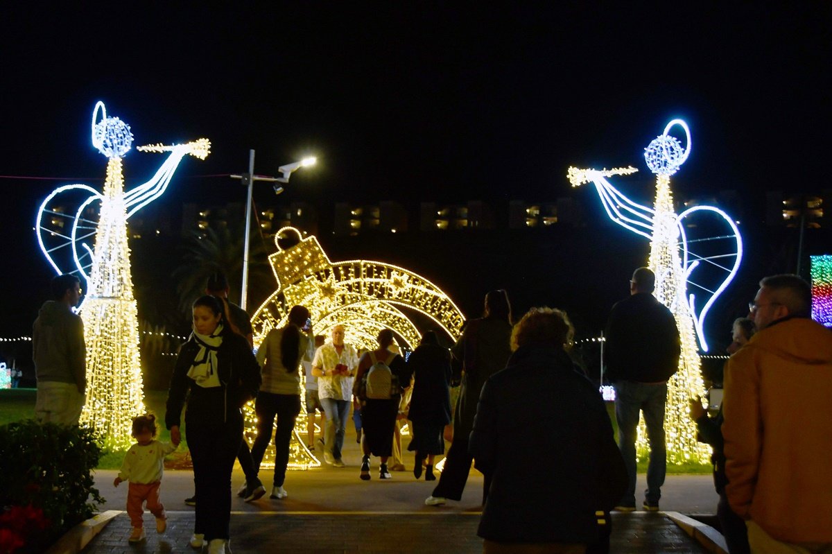 Alumbrado Navideño Parque Sur