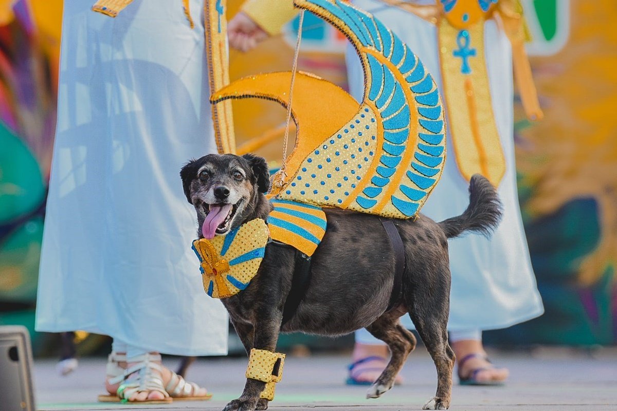 Carnanval Canino de Maspalomas 20023