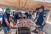 San Fernando celebra con 1.000 kilos de bonito una multitudinaria jornada de tradici&oacute;n, folclore y orgullo canario