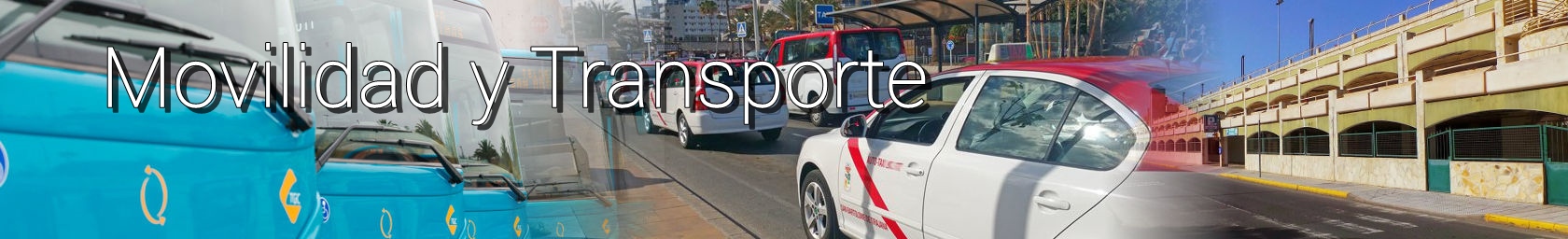 Banner MovilidadTransportes texto