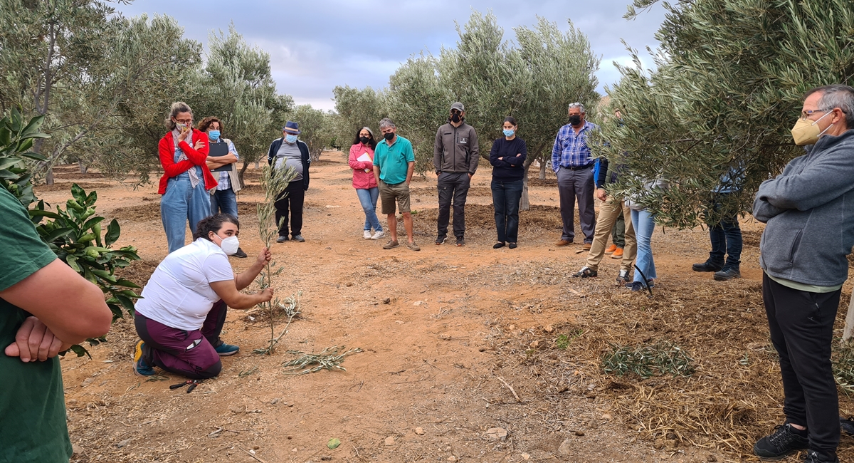 2021 AGR CursoPodaOlivos 02