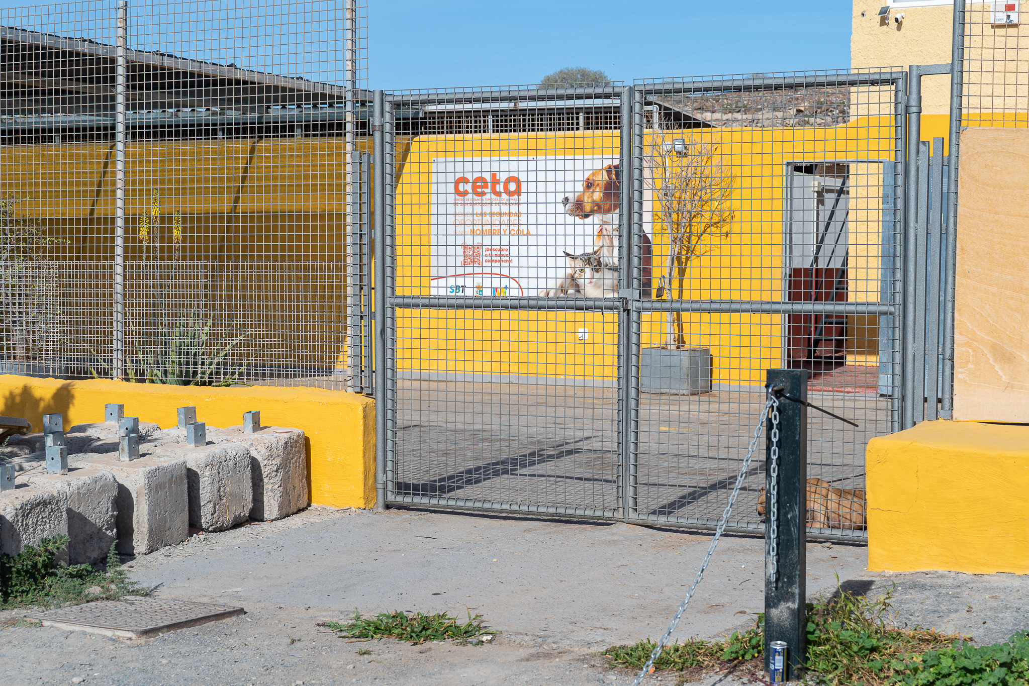 20260122_ALBERGUE DE ANIMALES SBT_01