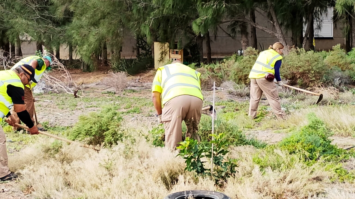 20260204 LV Limpieza en otra parcela del Castillo del Romeral