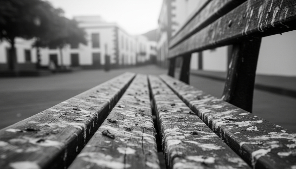 20251215 SAN Plaga 03