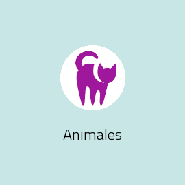 Animales