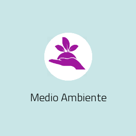 Medio Ambiente