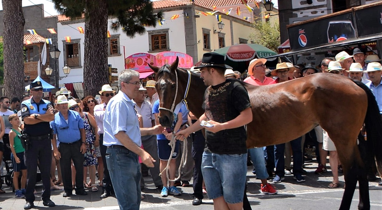 2016 FeriaGanadoTunte 04