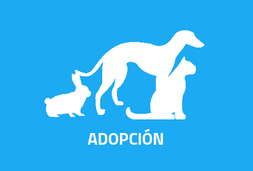 Adopción