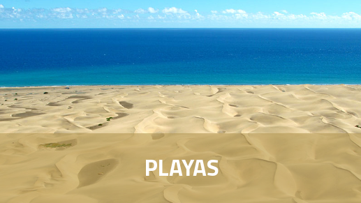 Playas