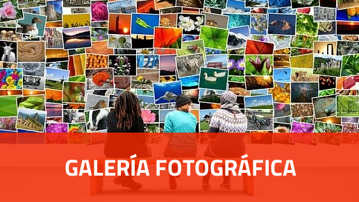 Galería