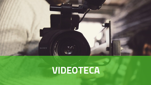 Videoteca